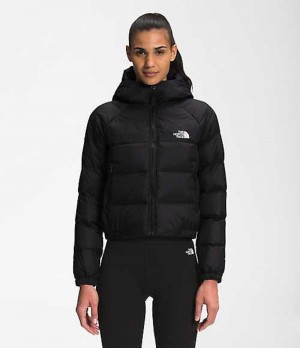 Chaqueta Plumas The North Face Hydrenalite Mujer Negras | 0795614-XT